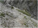 Lienzer Dolomitenhütte - Große Gamswiesenspitze